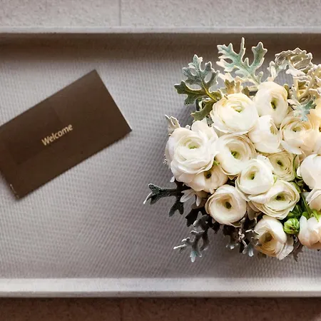 Daios Luxury Living Tesalónica